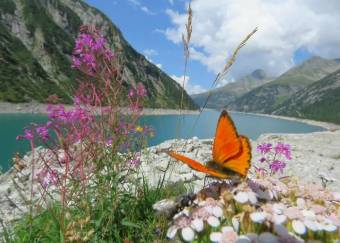 Appartamento Ritzl Fügen